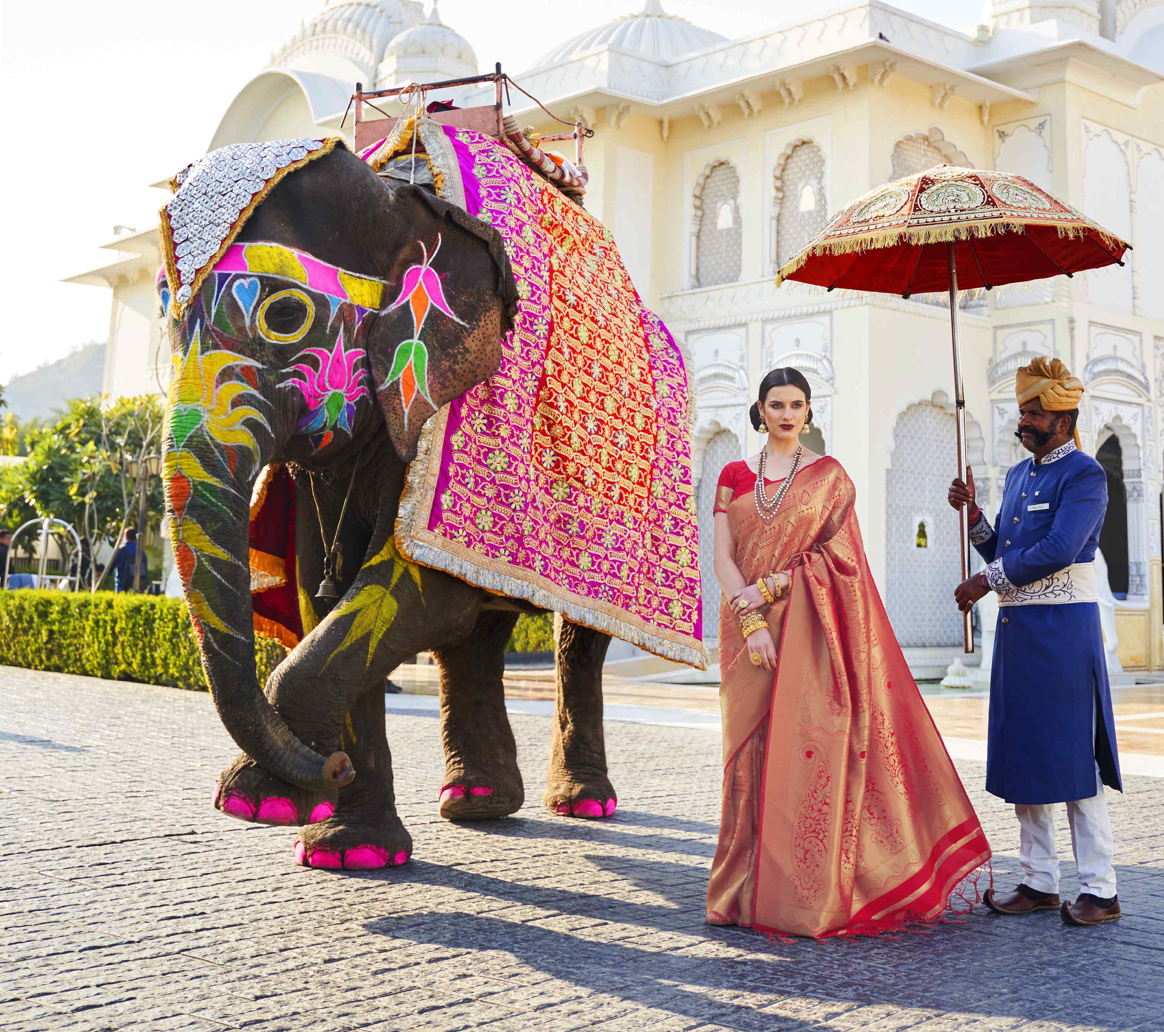 Ceremonial Bridal Red Woven Kanjivaram Saree