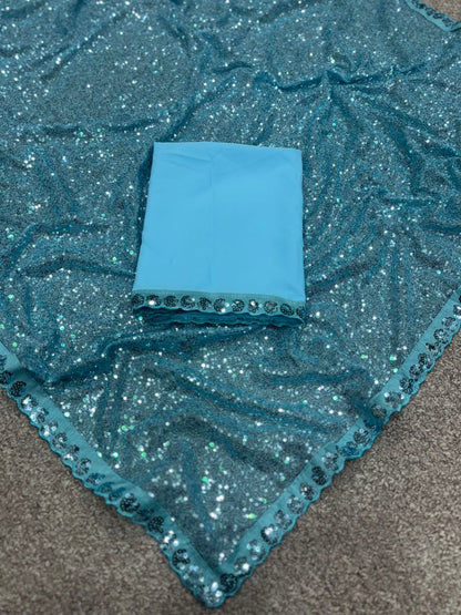 Bollywood Inspired Sky Blue Sequin Saree with Border Detailing