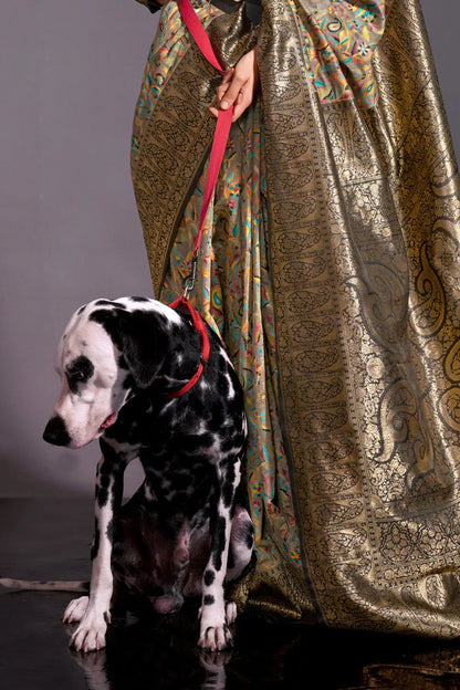 Grey Banarasi Kashmiri Modal Silk Saree